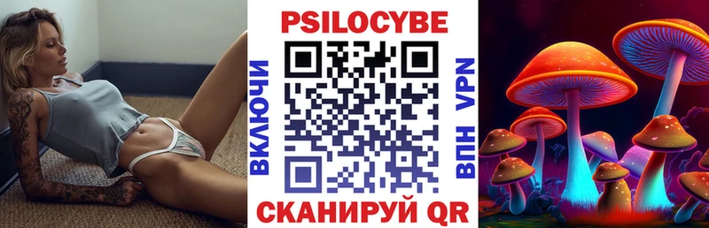 Галлюциногенные грибы Psilocybine cubensis  Белебей 